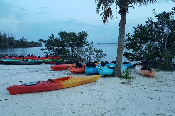Florida Bioluminescence Kayaking Tour (Titusville) - Is $65 a fair price?