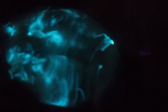 Florida Bioluminescence Kayaking Tour (Titusville) - Choosing a departure time