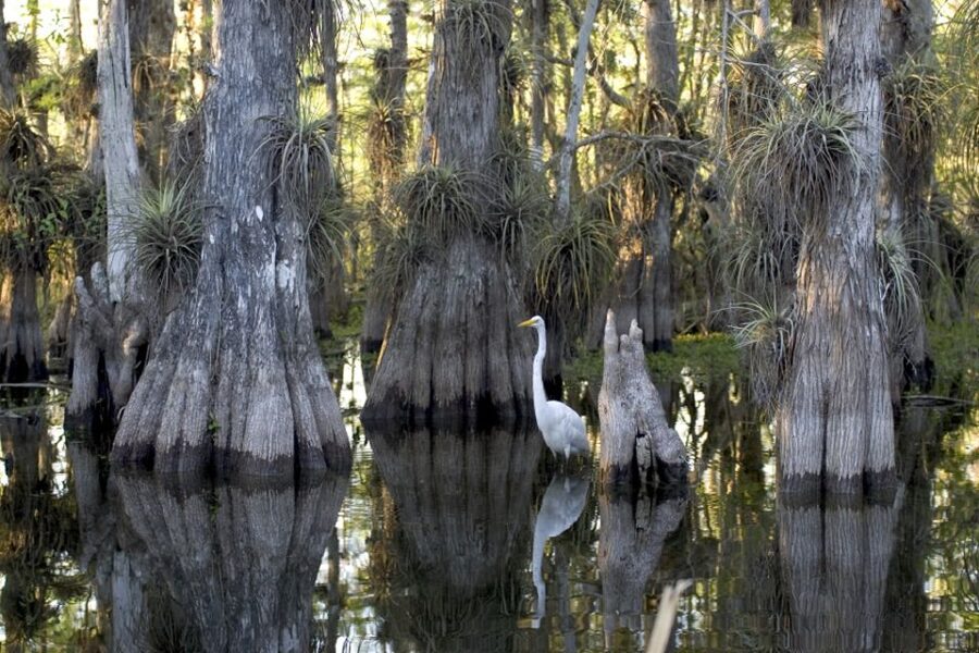 Florida Keys: Key West Kayak Eco Tour with Nature Guide - Key things to know before you paddle