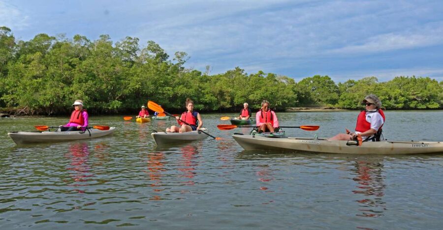 Florida Keys: Key West Kayak Eco Tour with Nature Guide - Why the mangroves make this more than a kayak rental
