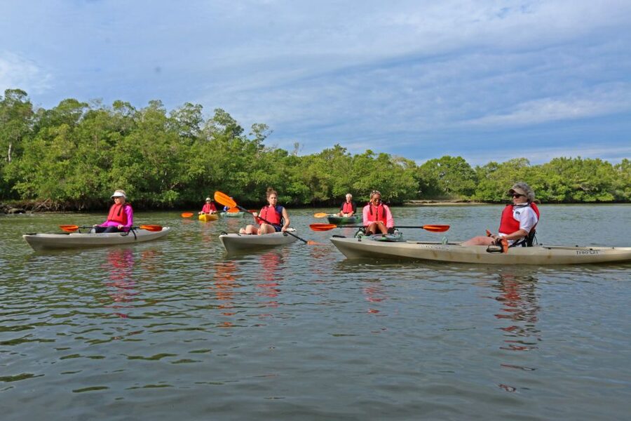 Florida Keys: Key West Kayak Eco Tour with Nature Guide - Following the mangrove trails