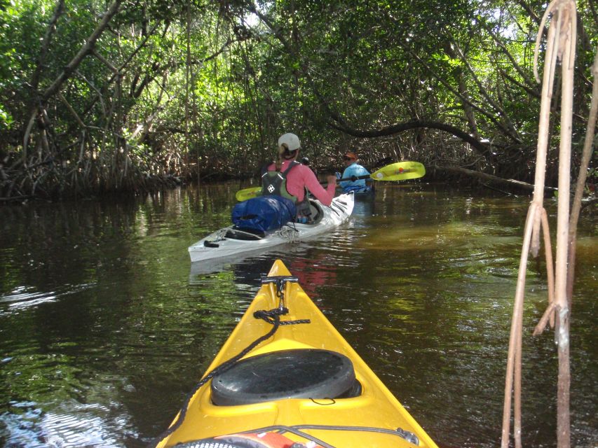 Florida Keys: Key West Kayak Eco Tour with Nature Guide - Learning how the Florida Keys work