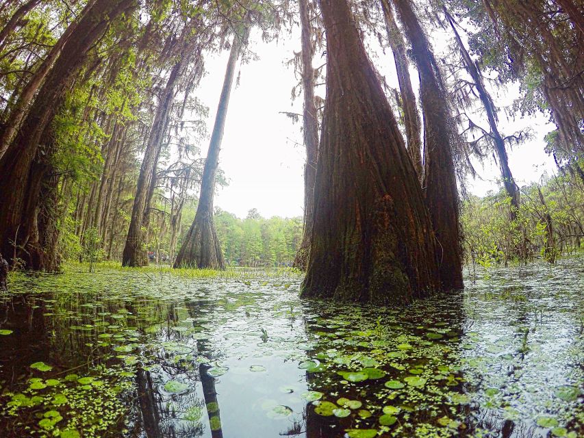 Florida Keys: Key West Kayak Eco Tour with Nature Guide - Who will enjoy this Key West outing?