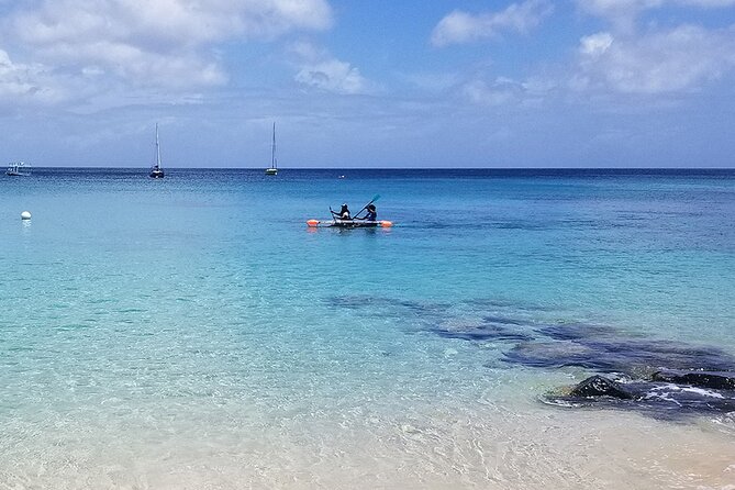 Folkestone Coral Reef Clear Kayak Tour - Key points to know before booking