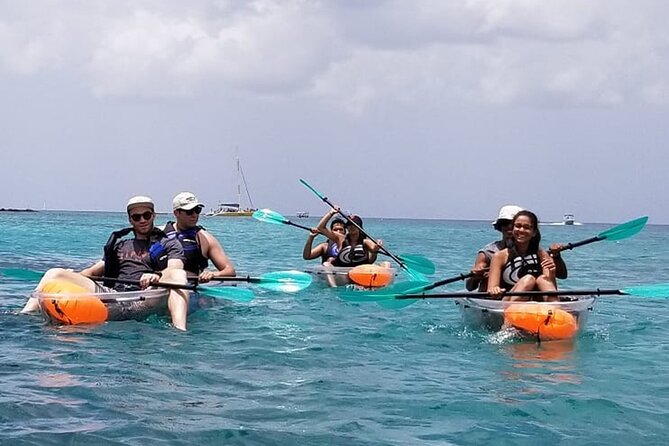 Folkestone Coral Reef Clear Kayak Tour - Weather, spray, and practical comfort