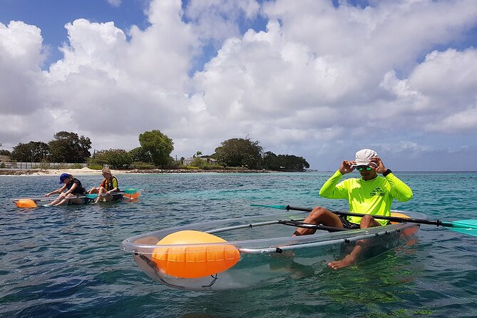Folkestone Coral Reef Clear Kayak Tour - Scheduling and reliability