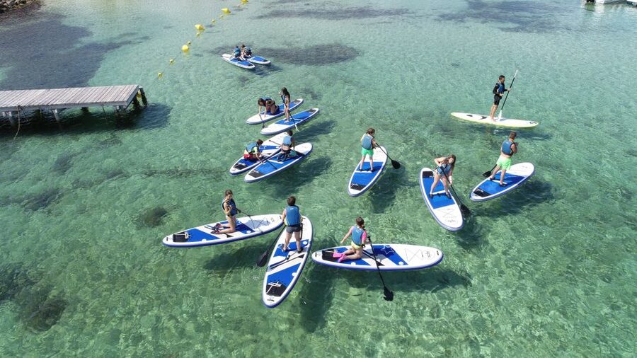 Fornells Bay: 2-Hour Stand-Up Paddle Excursion - Starting from Fornells’ waterfront