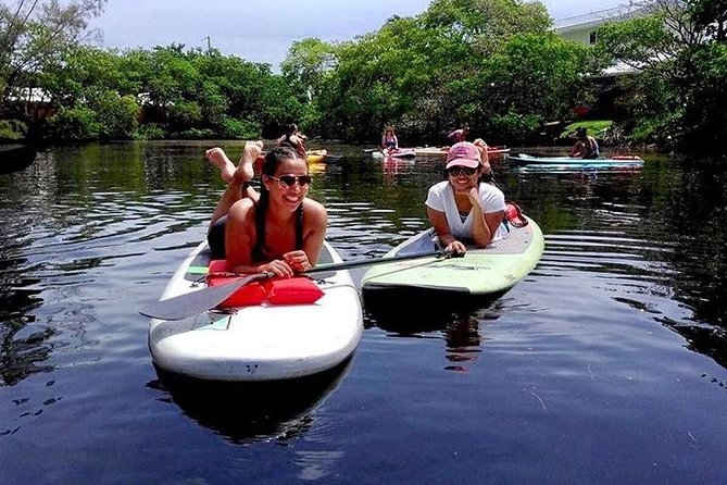 Fort Lauderdale Paddle Board Rentals. - What Happens at 2520 N Federal Highway