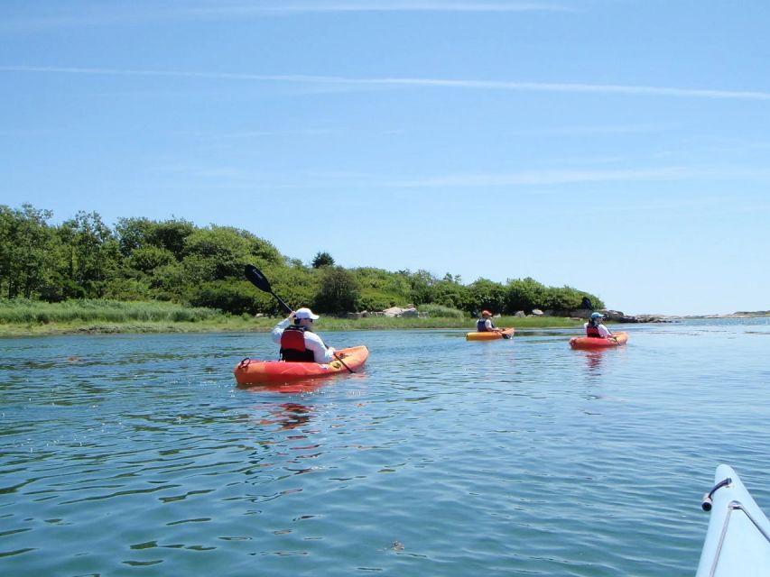 Fort Myers: Guided Kayak or SUP Tour in Pelican Bay - Key Points to Know