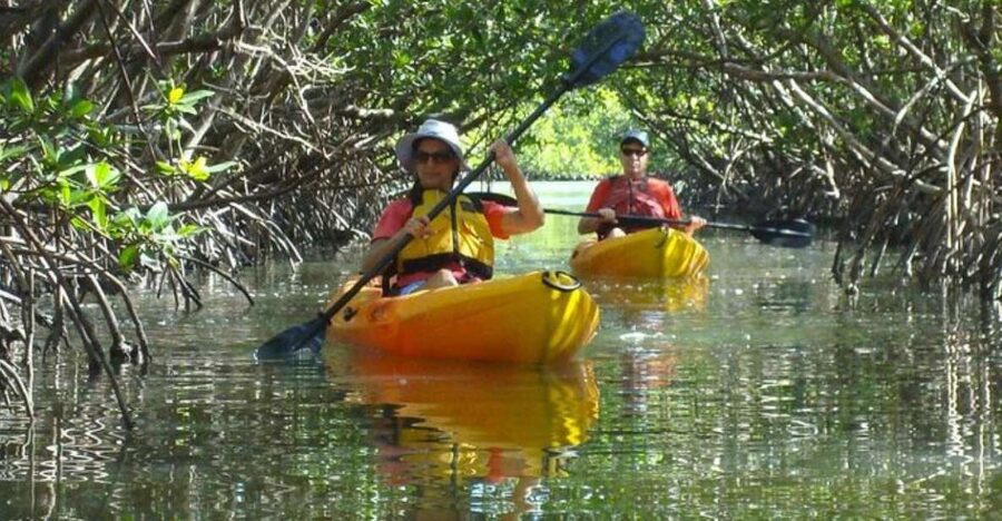 Fort Myers: Guided Kayak or SUP Tour in Pelican Bay - Mangroves, Houses, and the Character of Pelican Bay