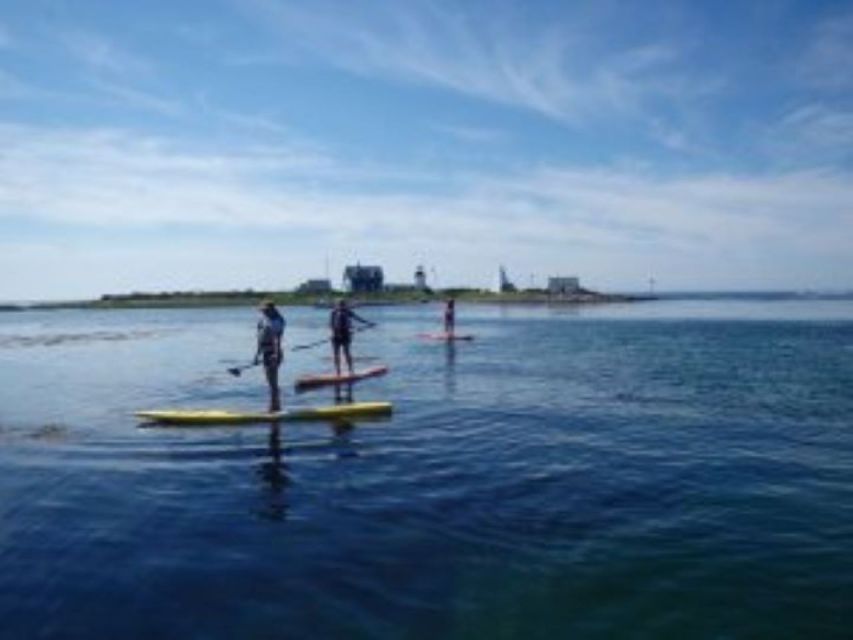 Fort Myers: Guided Kayak or SUP Tour in Pelican Bay - Kayak or Standup Paddleboard?