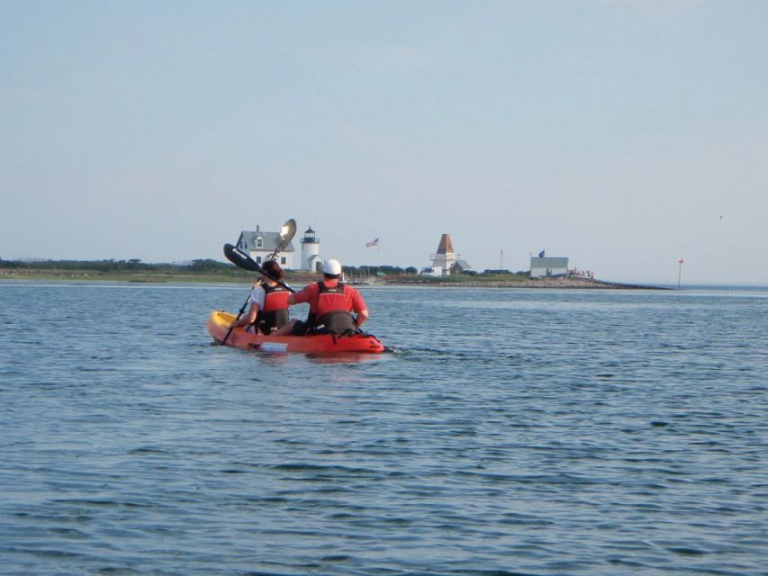Fort Myers: Guided Kayak or SUP Tour in Pelican Bay - Practical Tips for a Better Paddle
