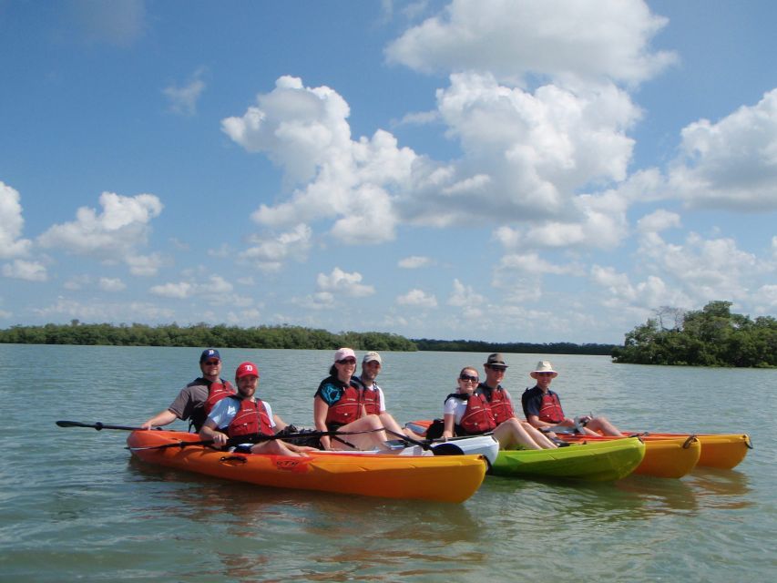 Fort Myers: Guided Kayaking Eco Tour in Pelican Bay - Mangroves, shallow bays, and quiet water