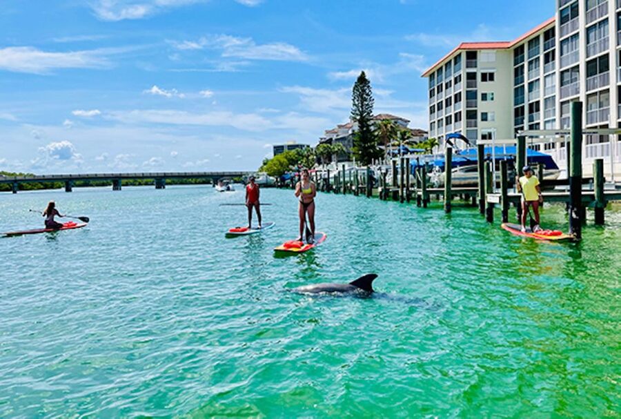 Fort Myers: Guided Standup Paddleboarding or Kayaking Tour - Morning or afternoon on the water