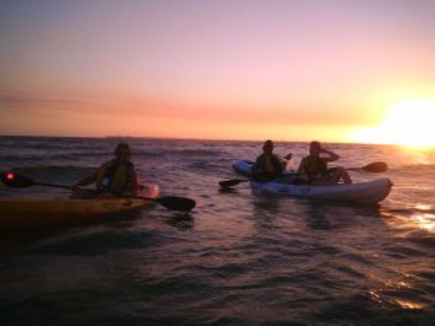 Fort Myers: Guided Sunset Kayaking Tour through Pelican Bay - Key Details Before You Paddle