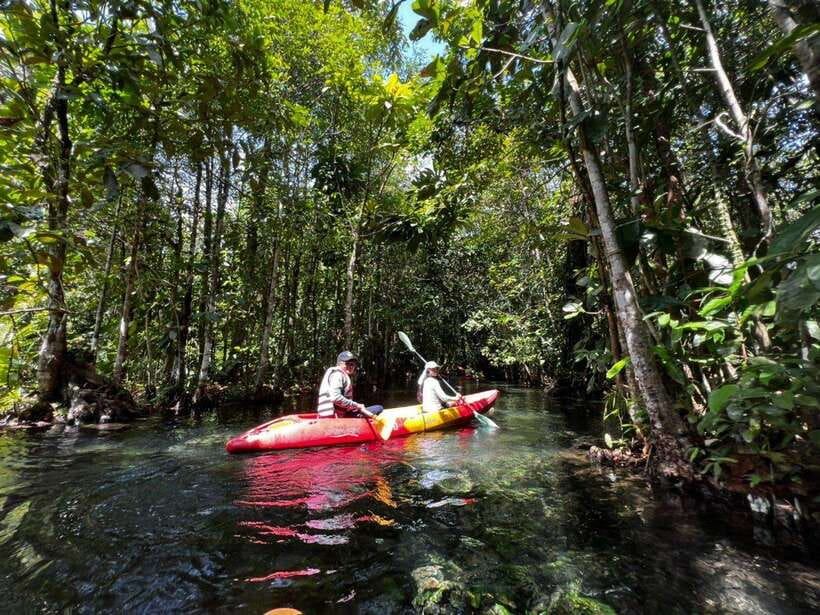 From Ao Nang: Kayaking at Klong Rud with Hotel Transfers - Key points to know before you book