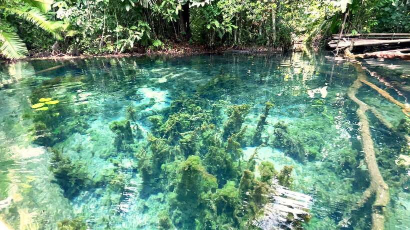 From Ao Nang: Kayaking at Klong Rud with Hotel Transfers - Fruit, water, and the small extras