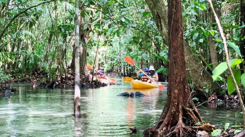 From Ao Nang: Kayaking at Klong Rud with Hotel Transfers - What to bring for a comfortable paddle
