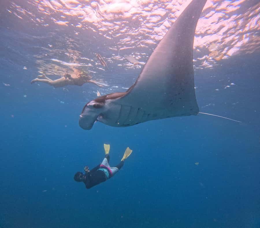From Bali: Nusa Penida Snorkel 3 Spots w/ GoPro & Kayak tour - Timing, crowds, and the real pace of the day