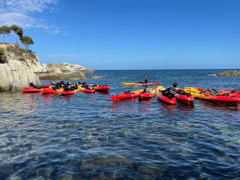 From Barcelona: Costa Brava Kayak & Snorkel Tour with Picnic - Is $71 a good price?