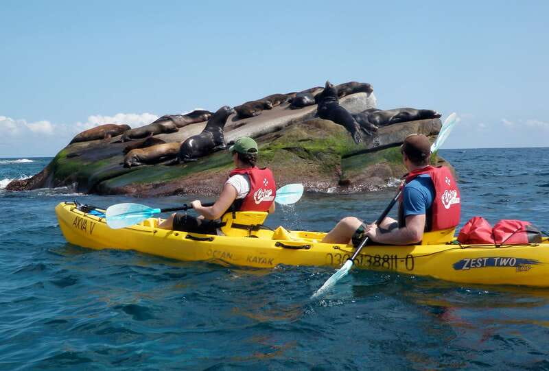 From Cabo: Cabo Pulmo Marine Park Snorkeling and Kayaking - The road, the pace, and the physical demands