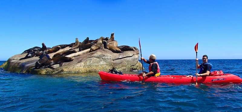 From Cabo: Cabo Pulmo Marine Park Snorkeling and Kayaking - What makes the guide important
