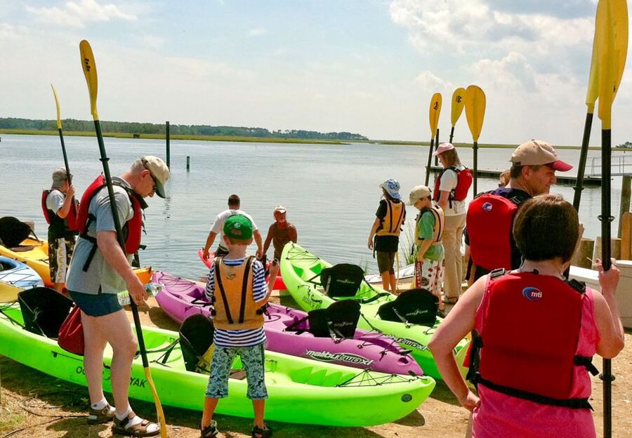 From Chincoteague: Guided Kayak Tour to Assateague Island - Why the ponies are worth the paddle