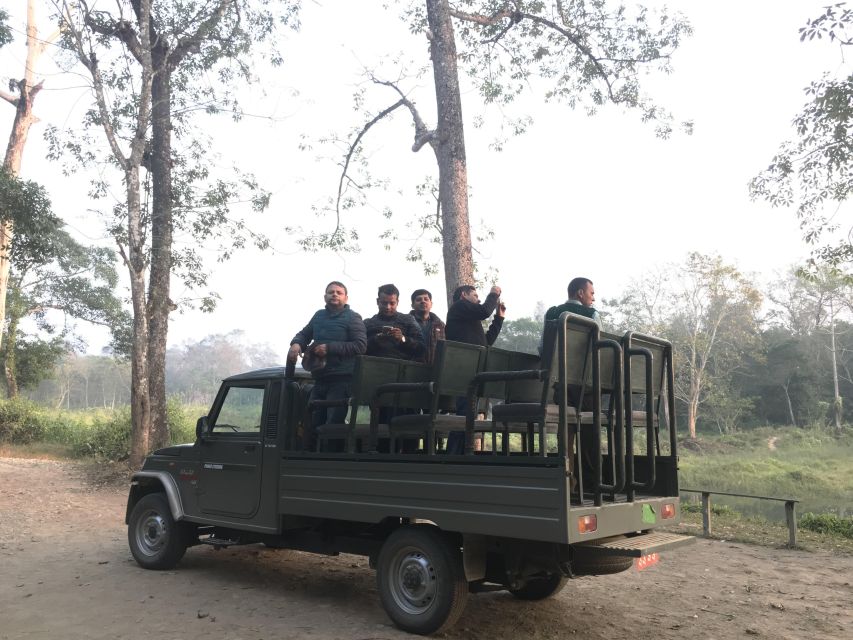 From Chitwan : Jeep Safari,Canoeing,Forest walk Day Tour - Key points at a glance