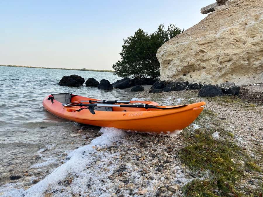 From Doha: Mangroves Kayaking Adventure - Key points to know before you book