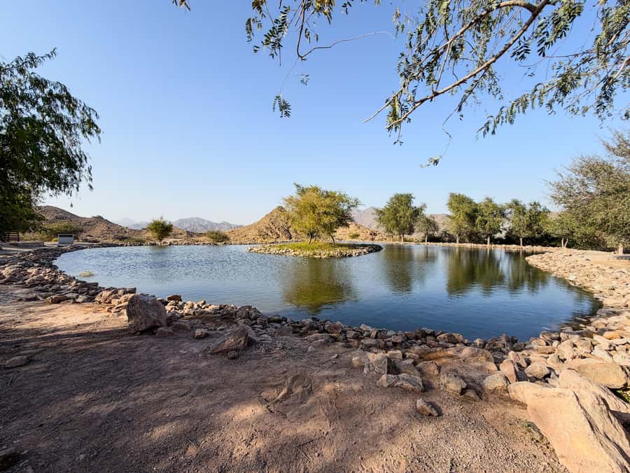 From Dubai: Hatta Sightseeing Tour with kayaking - Guides, driving, and the human side of the day