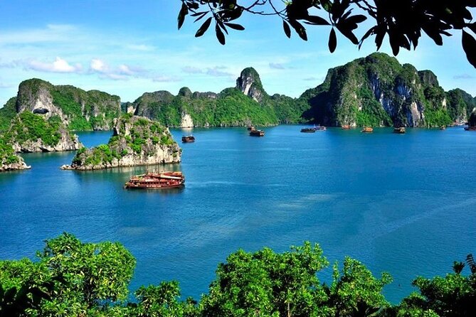 From Hanoi: Ha Long Bay Day tour 4-Star with Kayaking - The pearl farm workshop