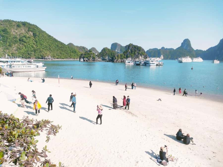From Hanoi: Ha Long Bay Luxury Day Cruise with Food & Kayak - How crowded and fast is the cruise?
