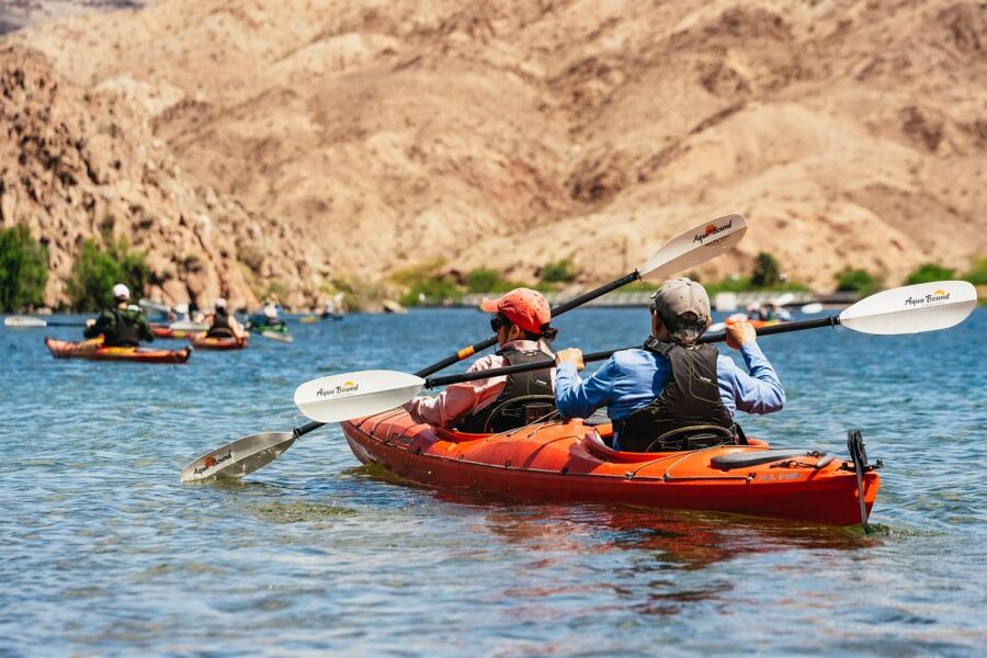From Las Vegas: Black Canyon Half-Day Kayak Tour - Wildlife along the canyon banks