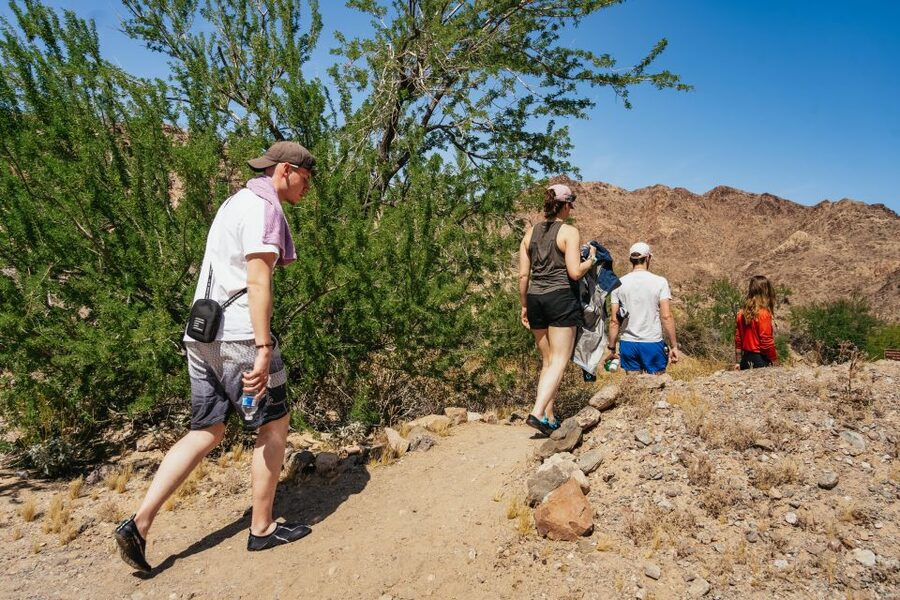 From Las Vegas: Black Canyon Half-Day Kayak Tour - Who should book this half-day paddle