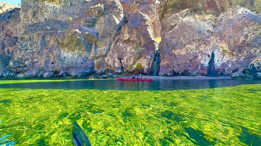 From Las Vegas: Hoover Dam Kayak Trip with 6 Hot Springs - Meeting at Willow Beach before sunrise