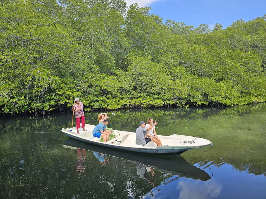 From Lembongan: Kayak/Paddleboard/Boat Mangrove Tour - Should you book the Lembongan mangrove tour?