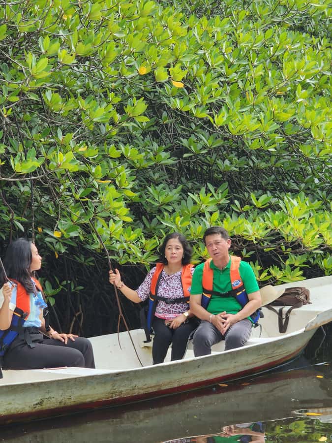 From Lembongan: Kayak/Paddleboard/Boat Mangrove Tour - What happens at Mangrove Point