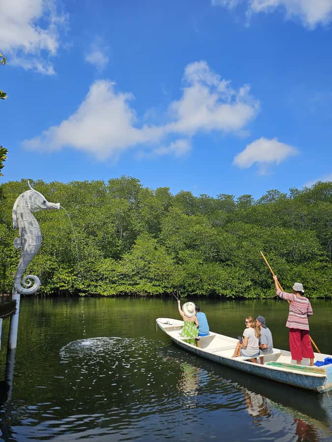 From Lembongan: Kayak/Paddleboard/Boat Mangrove Tour - Timing, weather, and the best time to go