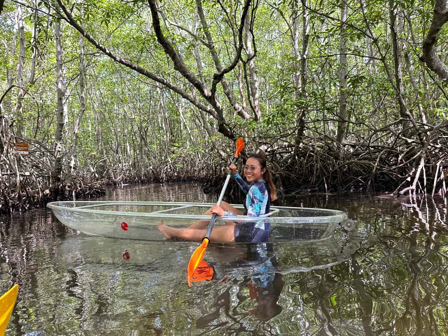 From Lembongan: Kayak/Paddleboard/Boat Mangrove Tour - Is $10 good value?