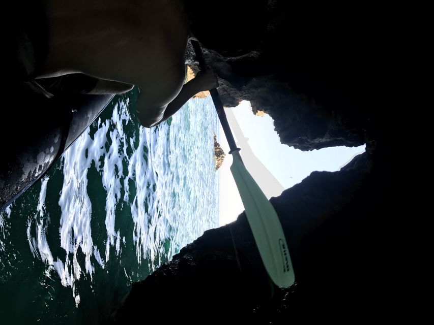 From Lisbon: Arrábida Natural Park Kayak Tour with Lunch - Snorkeling, swimming, and the cold Atlantic