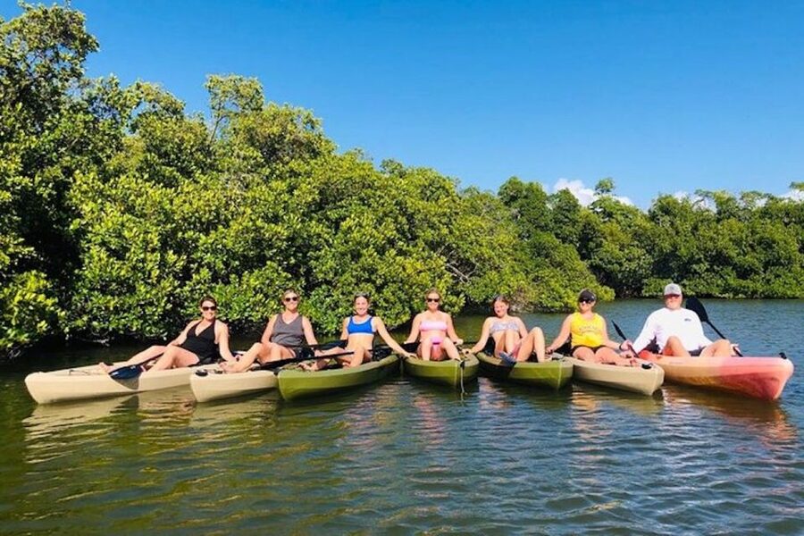 From Naples, FL: Marco Island Mangroves Kayak or Paddle Tour - The ride toward Marco Island