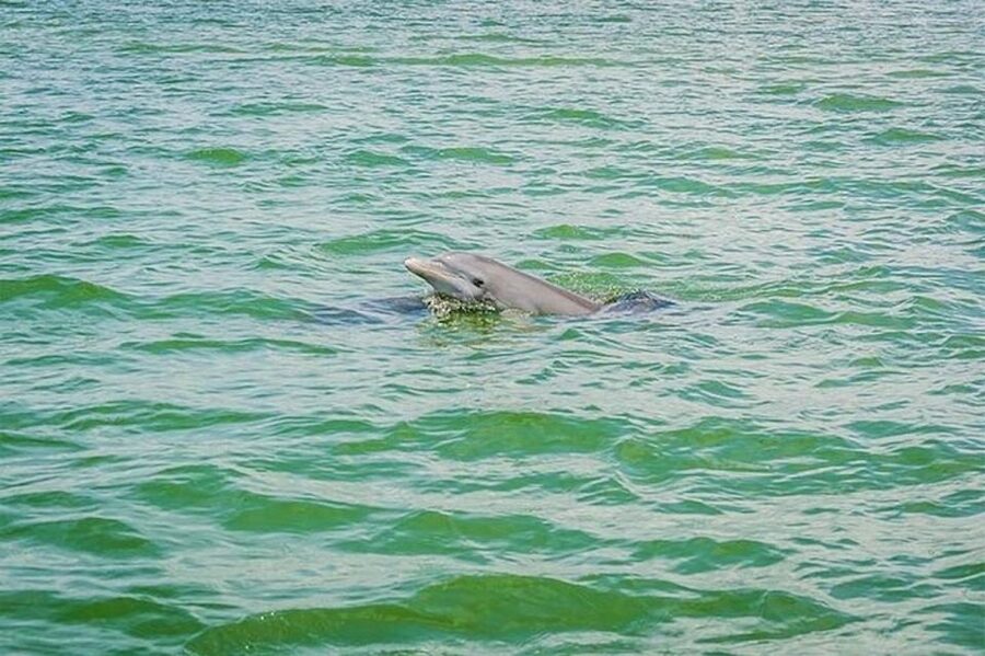 From Naples, FL: Marco Island Mangroves Kayak or Paddle Tour - How demanding are two hours on the water?