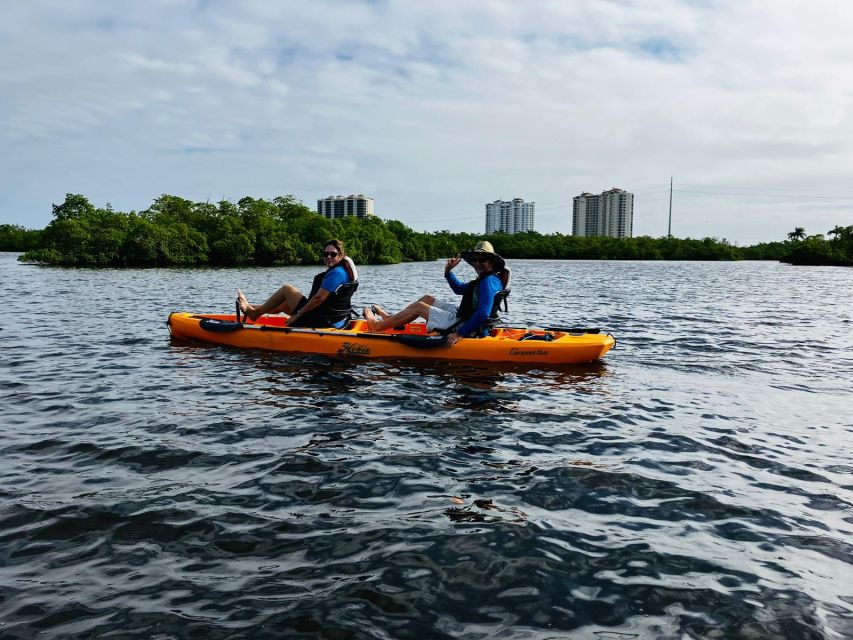 From Naples, FL: Marco Island Mangroves Kayak or Paddle Tour - What to wear and bring