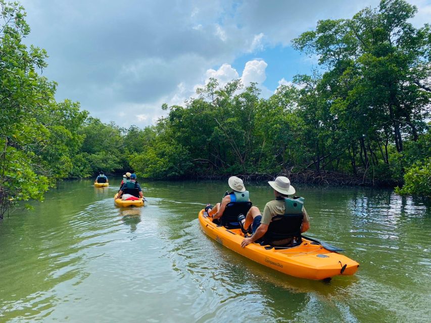 From Naples, FL: Marco Island Mangroves Kayak or Paddle Tour - Weather, timing, and value at $59