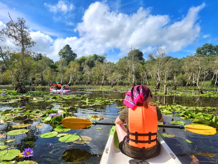 From Pattaya: Rayong Adventure Hike and Kayak Day Trip - Fitness, Weather, and What to Pack