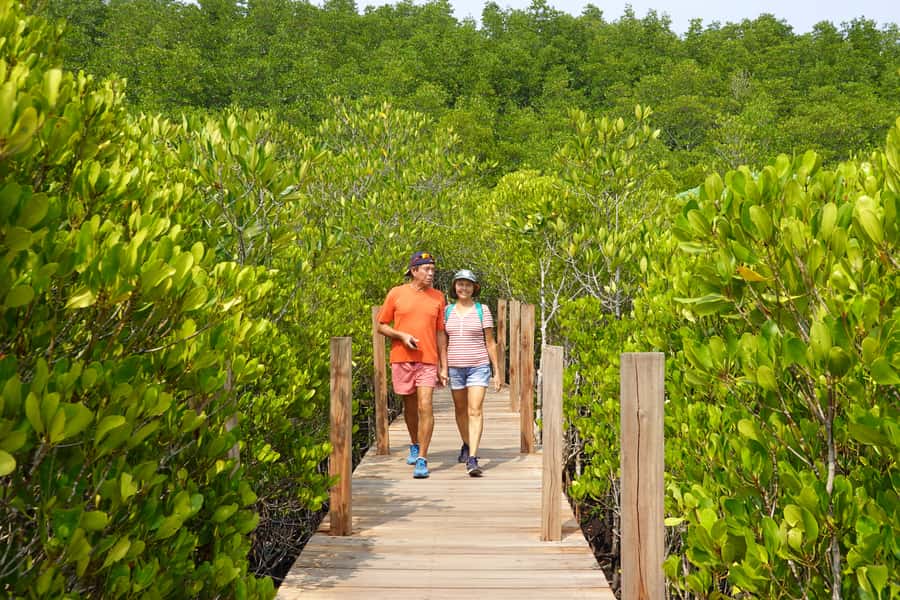 From Pattaya: Rayong Adventure Hike and Kayak Day Trip - Who Should Book This Rayong Adventure?