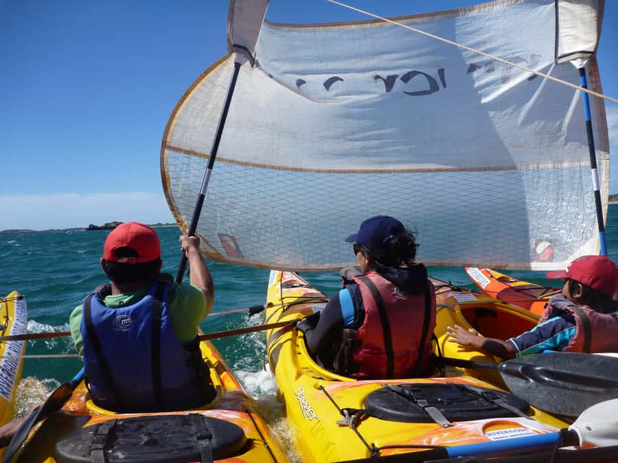 From Perth: Rockingham Seal & Penguin Islands Sea Kayak Tour - Dry clothes, the Perth return, and the day’s timing