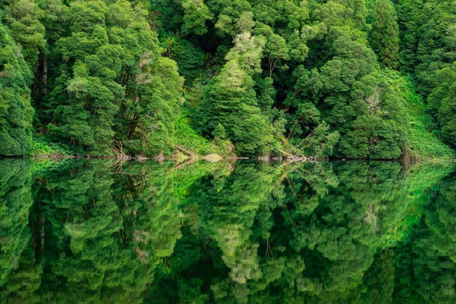 From Ponta Delgada: Sete Cidades Jeep, Bike, & Kayak Ride - Who should book this activity