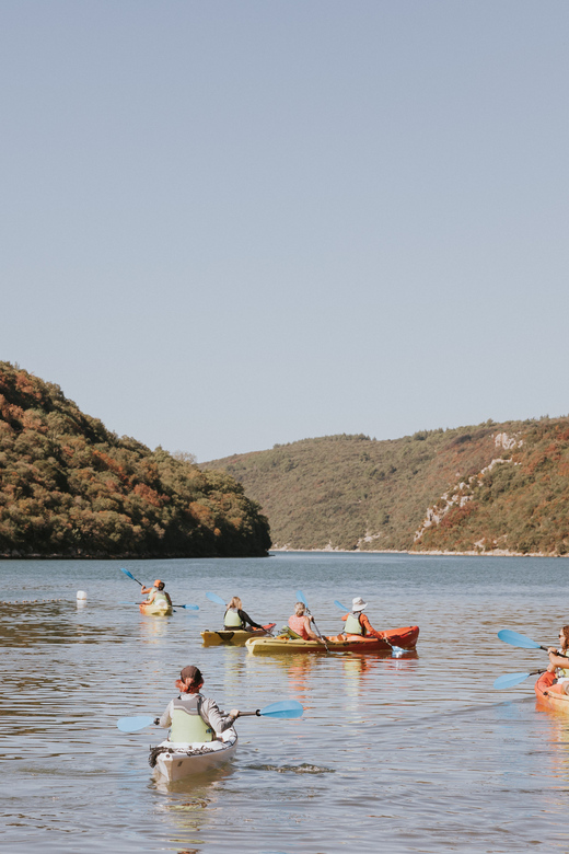 From Poreč: Lim Bay Sea Kayaking Day Trip - Meeting near the Fjord restaurant