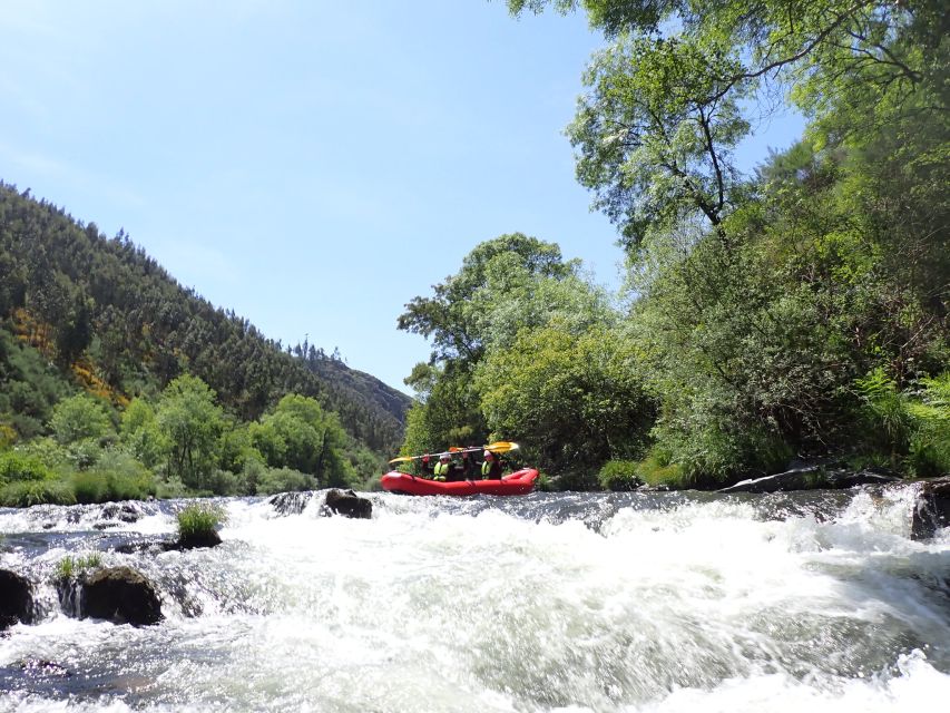 From Porto: Paiva River Canoe Rafting Adventure Tour - What the $100 price really covers